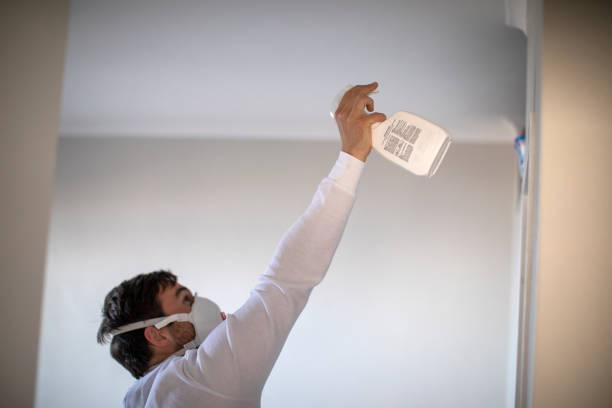 Best Attic Mold Removal  in Bevil Oaks, TX