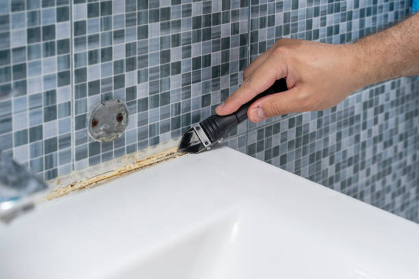 Best Home Mold Removal  in Bevil Oaks, TX