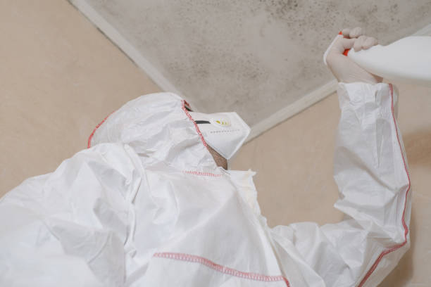 Best Crawl Space Mold Removal  in Bevil Oaks, TX